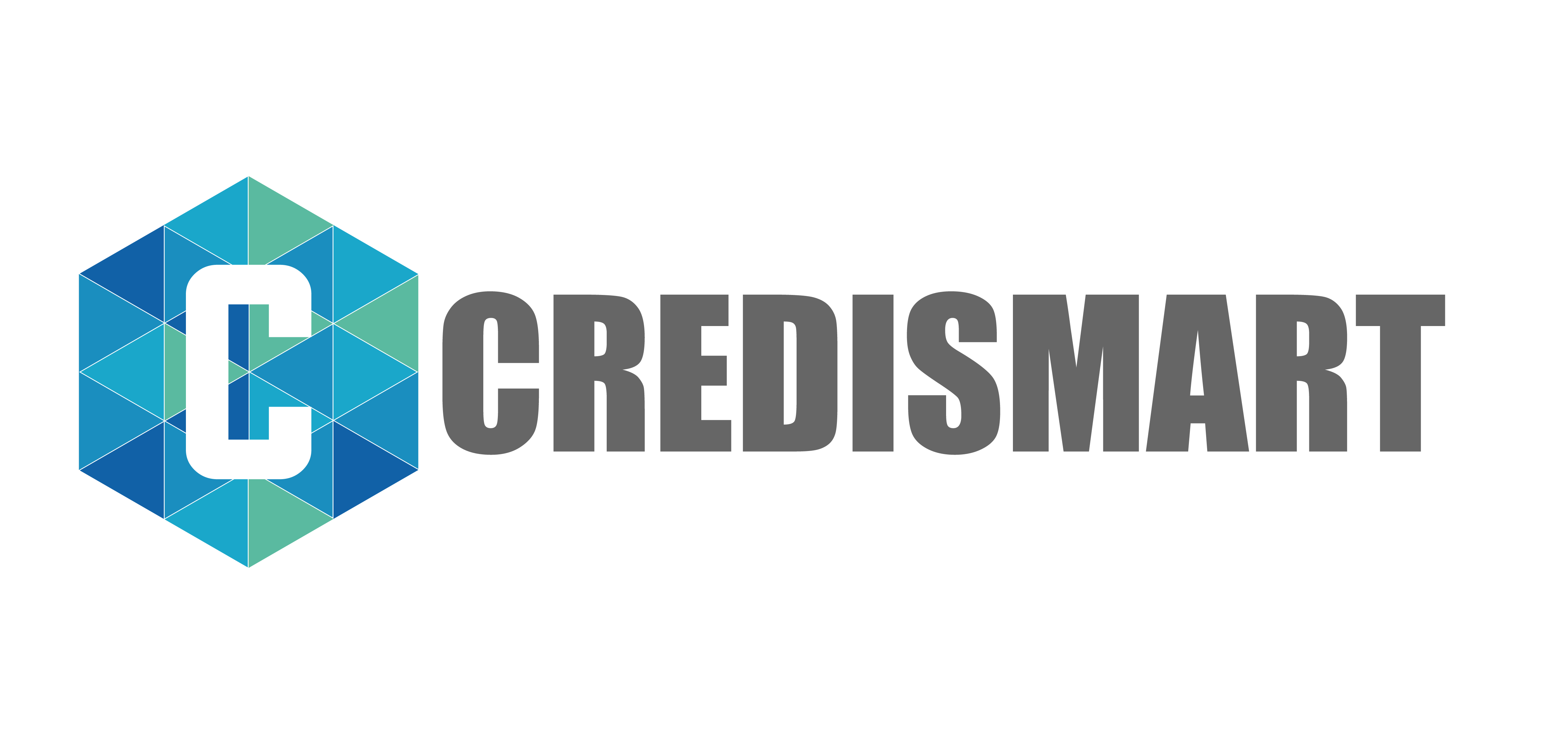 CRDI SMART LOGO-04-min